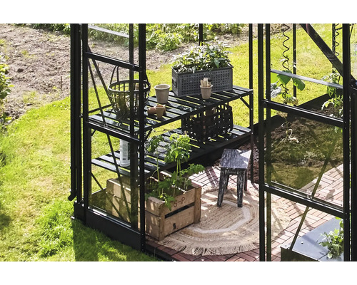 Gewächshaus mit Pflanzenregal, Pflanzen und Gartenwerkzeugen