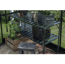 Gartenszene mit Pflanzenregal, Pflanzen und Gartenaccessoires in einem Gewächshaus