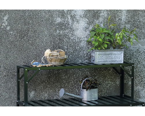 Gartenszene mit Regal, Pflanzen, Gießkanne und Gartenzubehör