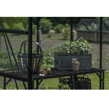 Gartenszene mit Pflanztisch, Pflanzen und Gartenwerkzeugen in einem Gewächshaus.