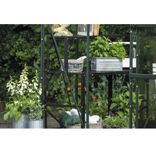 Gewächshausregal mit Pflanzen und Dekorationen im Garten.