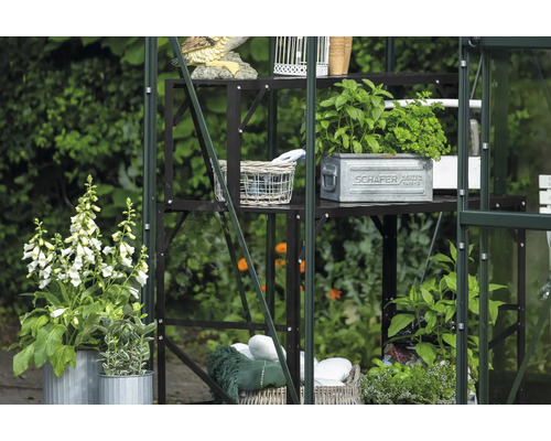 Gewächshausregal mit Pflanzen und Dekorationen im Garten.