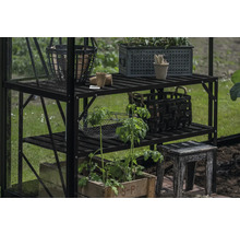 Gewächshausregal mit Pflanzen, Körben und Gartengeräten