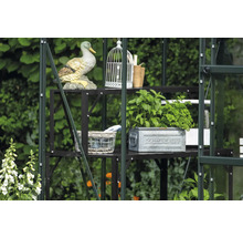 Gewächshaus mit Regal, Dekorationen und Pflanzen