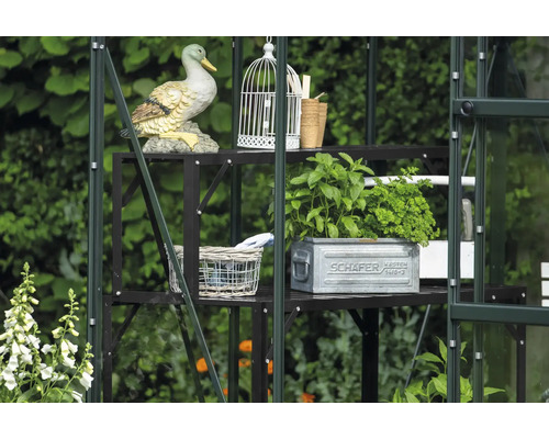 Gewächshaus mit Regal, Dekorationen und Pflanzen