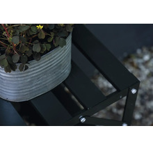 Dekorative Pflanze in einem Metalleimer auf einem Blumenhocker