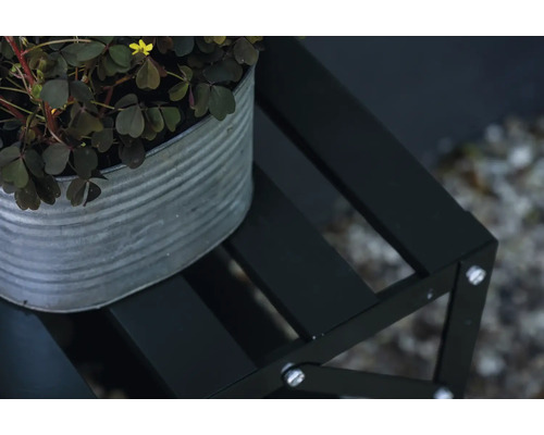 Dekorative Pflanze in einem Metalleimer auf einem Blumenhocker