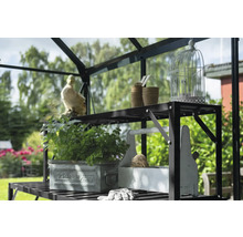 Gewächshausregal mit Kräutern, Pflanzgefäßen und Gartenzubehör