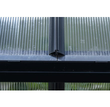 Detailansicht eines Gewächshauses mit Polycarbonatplatten und Rahmen