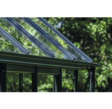 Detailansicht eines Gewächshauses mit Glasdach und Metallrahmen