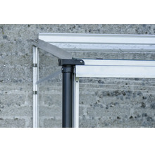 Detailaufnahme eines Gewächshausrahmens mit schwarzem Stützpfosten.