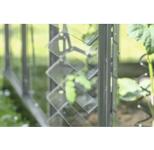 Detailansicht eines Gewächshauses mit Glaslamellenfenster zur Belüftung.