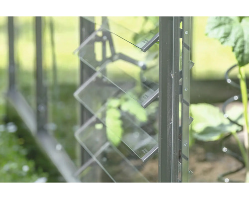 Detailansicht eines Gewächshauses mit Glaslamellenfenster zur Belüftung.