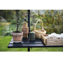 Gartenstillleben mit Pflanze im Topf, Gartentöpfen, Korb, Garn und Holzkiste auf einem Tisch