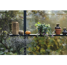 Regal im Gewächshaus mit Anzuchttöpfen, Pflanze, Kürbis, Bindfaden und Vasen