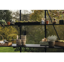 Gewächshausinneneinrichtung mit Regalen, Pflanzen, Töpfen und Gartengeräten.