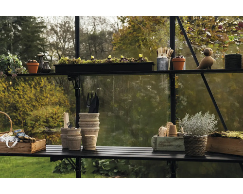 Gewächshausinneneinrichtung mit Regalen, Pflanzen, Töpfen und Gartengeräten.