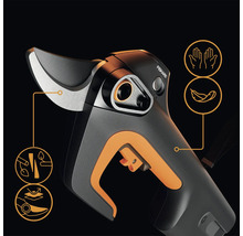 Akkubetriebene Gartenschere mit Hinweisen zu Funktionen und Eigenschaften