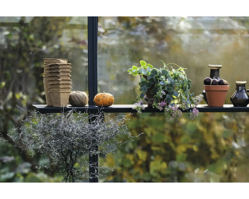 Regal im Gewächshaus mit Anzuchttöpfen, Pflanze, Kürbis, Bindfaden und Vasen