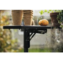 Klapptisch mit Pflanztöpfen und Kürbis im Gewächshaus