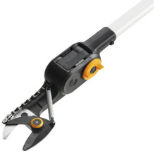 Hochentaster mit Schneidkopf und Kette