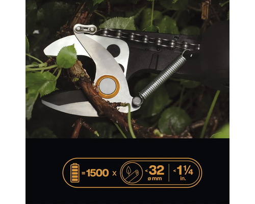 Astschere schneidet einen Zweig. Technische Daten der Akku-Astschere: 1500 Hübe, bis 32 Millimeter Durchmesser, bis 1 1/4 Zoll Durchmesser.