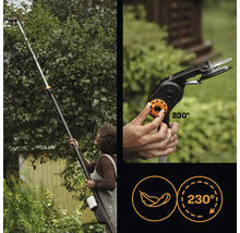 Frau benutzt eine Teleskop-Astschere zum Beschneiden eines Baumes. Detailaufnahme des Scherenkopfes mit 230-Grad-Drehung und Symbol für geringes Gewicht