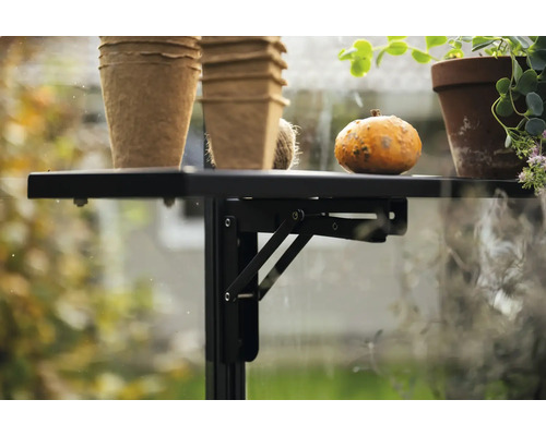 Klapptisch mit Pflanztöpfen und Kürbis im Gewächshaus