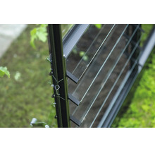 Detailansicht eines Gewächshausfensters mit Lamellen