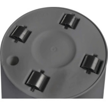 Rollbrett mit vier Rollen