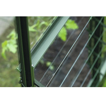 Detailansicht eines Gewächshauses mit Fenster