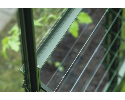 Detailansicht eines Gewächshauses mit Fenster