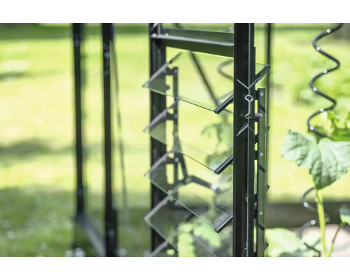 Detailaufnahme eines Gewächshauses mit Lamellenfenster zur Belüftung