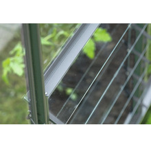 Detailansicht eines Gewächshausfensters mit Metallrahmen und Glasscheiben