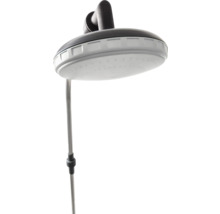 Duschkopf mit Stange