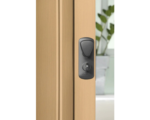 Türbeschlag mit Drehknopf an einer Holztür