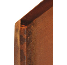 Detailansicht eines rostigen Stahlträgers