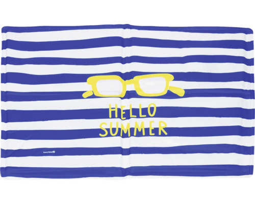 Strandtuch mit Streifen, Sonnenbrille und dem Schriftzug Hallo Sommer