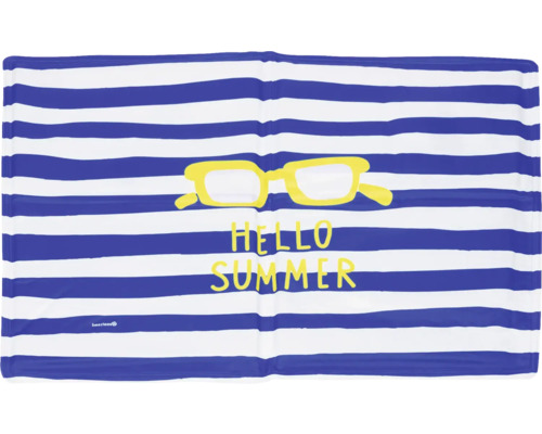 Strandtuch mit Streifen, Sonnenbrille und dem Schriftzug Hallo Sommer