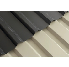 Zwei verschiedene Trapezbleche