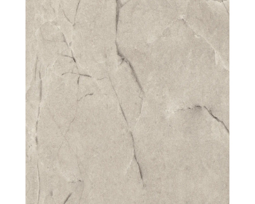 Nahaufnahme einer Bodenfliese mit Marmoroptik