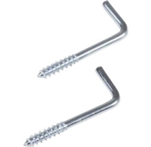 Zwei Schraubhaken aus Metall