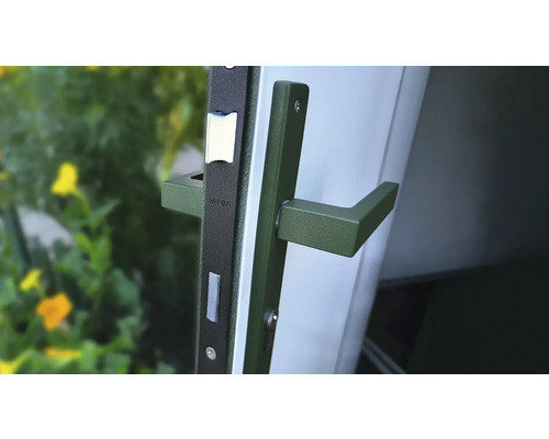 Türbeschlag mit olivefarbenem Türgriff und Schlosskasten