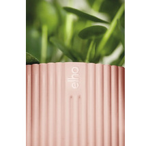 Detailansicht eines gerippten Blumentopfes mit Elho Logo und Pflanzen