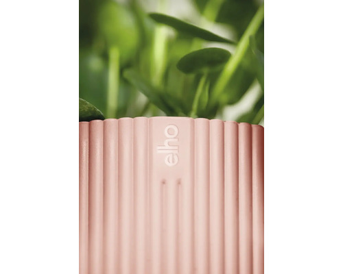Detailansicht eines gerippten Blumentopfes mit Elho Logo und Pflanzen