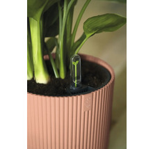 Blumentopf mit Wasserstandsanzeiger