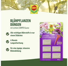 Compo Blühpflanzen Düngerstäbchen Packung mit Guano