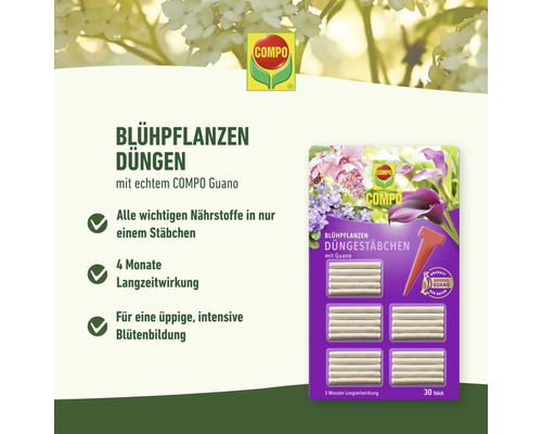 Compo Blühpflanzen Düngerstäbchen Packung mit Guano