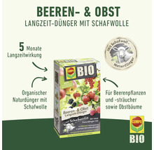 Compo Bio Beeren und Obst Langzeitdünger mit Schafwolle Packung