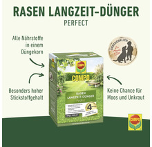 Compo Rasen Langzeit-Dünger Packung für die Rasenpflege